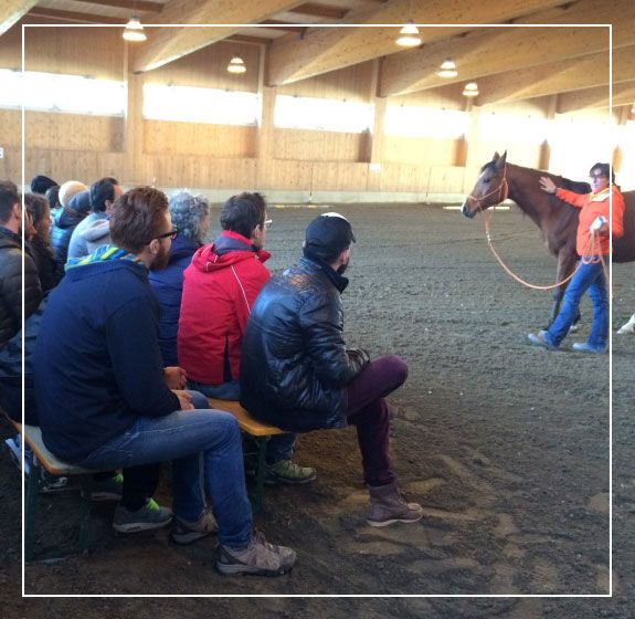 Corso di formazione esperienziale con i cavalli