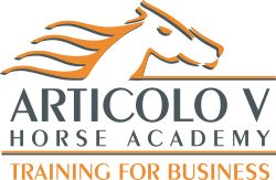 Articolo V Training for Business