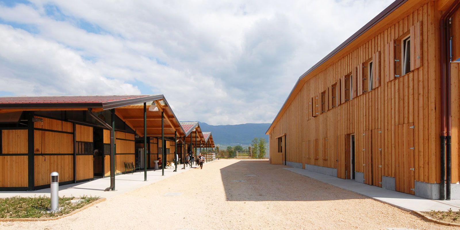 Le strutture di Articolo V Horse Academy